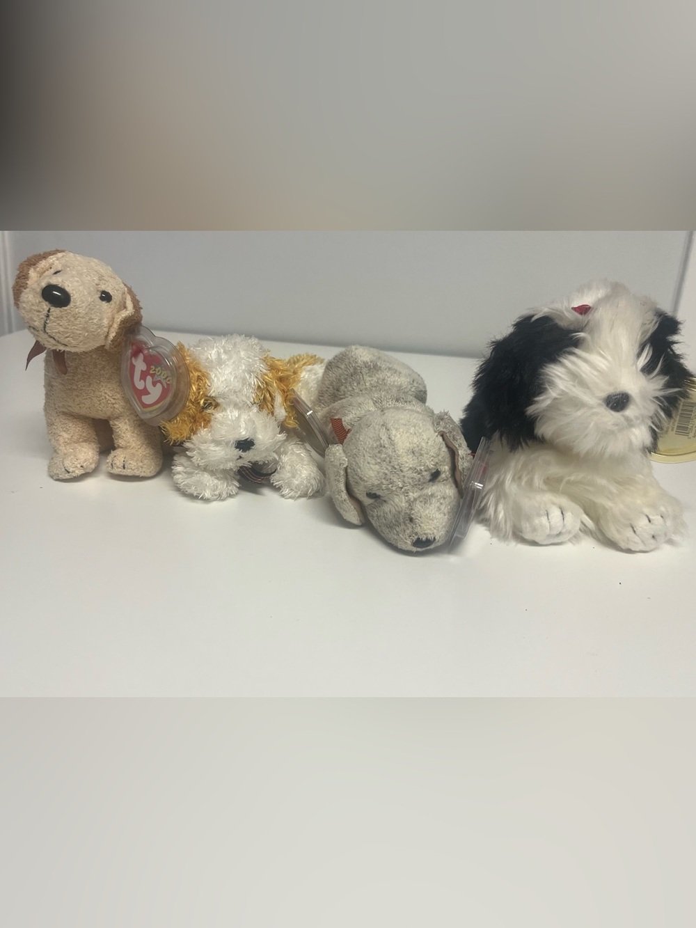 Ty Plush Dog Pair - White, Tan and Cream - Collectible Puppy